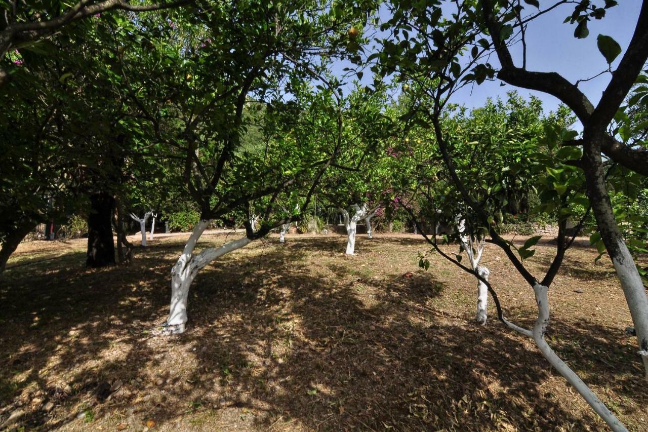Ionian Garden Villas - Villa Pietra بينيتسيس المظهر الخارجي الصورة
